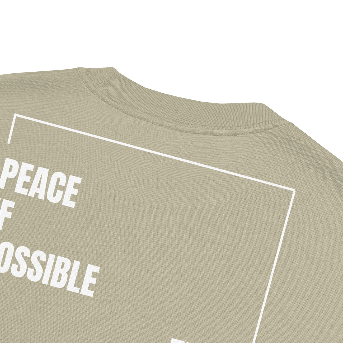 At All Cost collection - Men's Faith-Inspired Oversized Faded T-Shirt - Premium Quality, Truthful Design