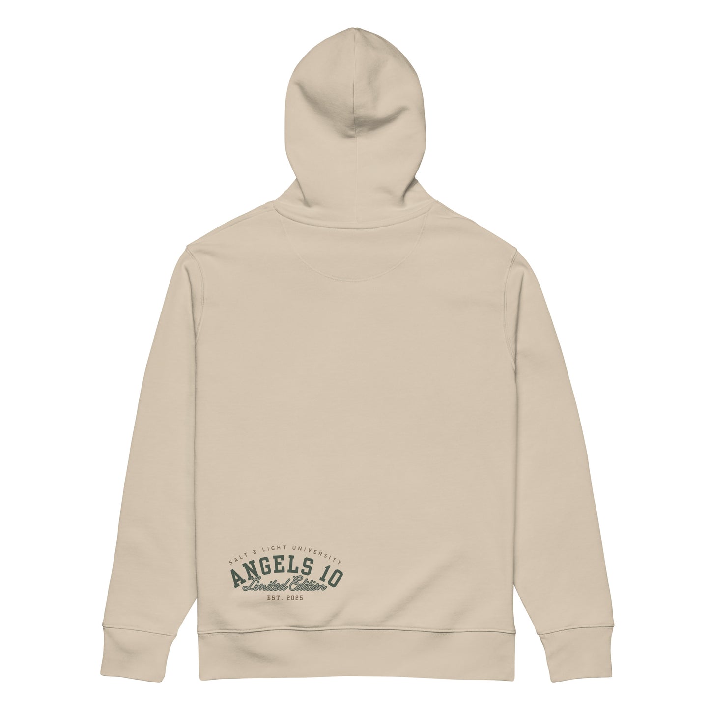 Back view of the Premium Organic Hoodie for Christian Discipleship in beige, promoting a message of faith and discipleship while capturing the essence of being the salt & light of the world, great for college students.