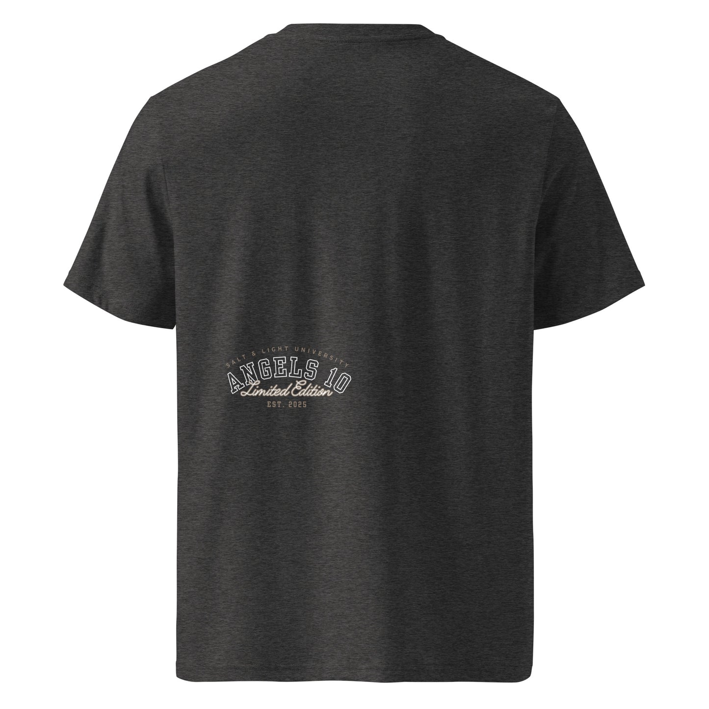 Back view of the Salt & Light Unisex Organic Ribbed Neck T-Shirt in dark gray, displaying the ANGELS 10 logo. This shirt is a great choice for those looking to share their faith through fashion, capturing the essence of discipleship as well as the salt & light of the world.