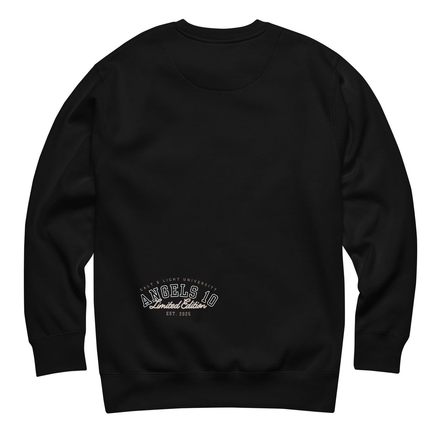 Back view of the Salt & Light Unisex Premium Sweatshirt for Christian Discipleship showcasing the ANGELS 10 Limited Edition logo, perfect for expressing faith and discipleship on college campuses, embodying the salt & light of the world.