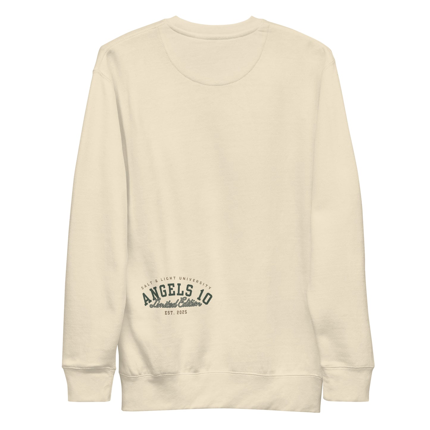 Back view of the Salt & Light of the World Unisex Premium Sweatshirt, designed for expressing Christian values and ideals of discipleship at college.