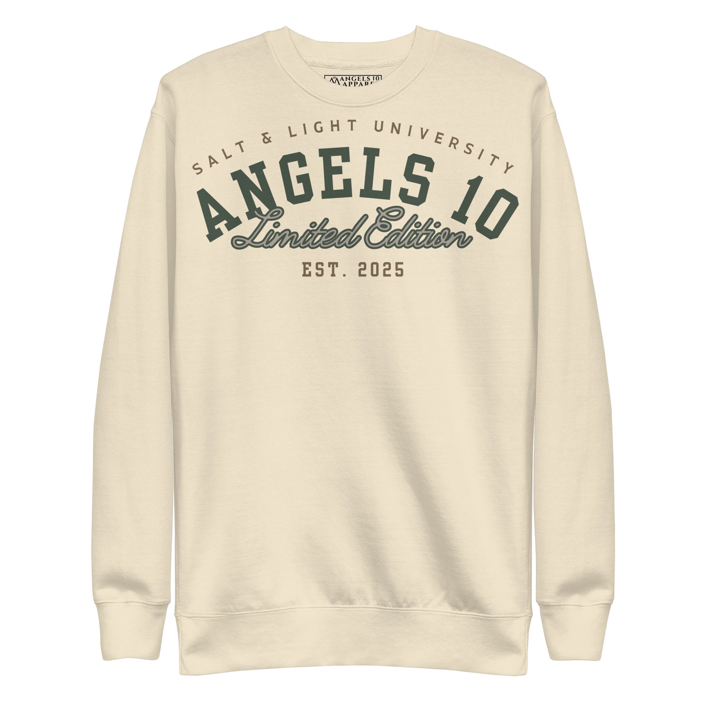 Salt & Light of the World Unisex Premium Sweatshirt featuring color graphics that highlight faith and discipleship, perfect for college students.