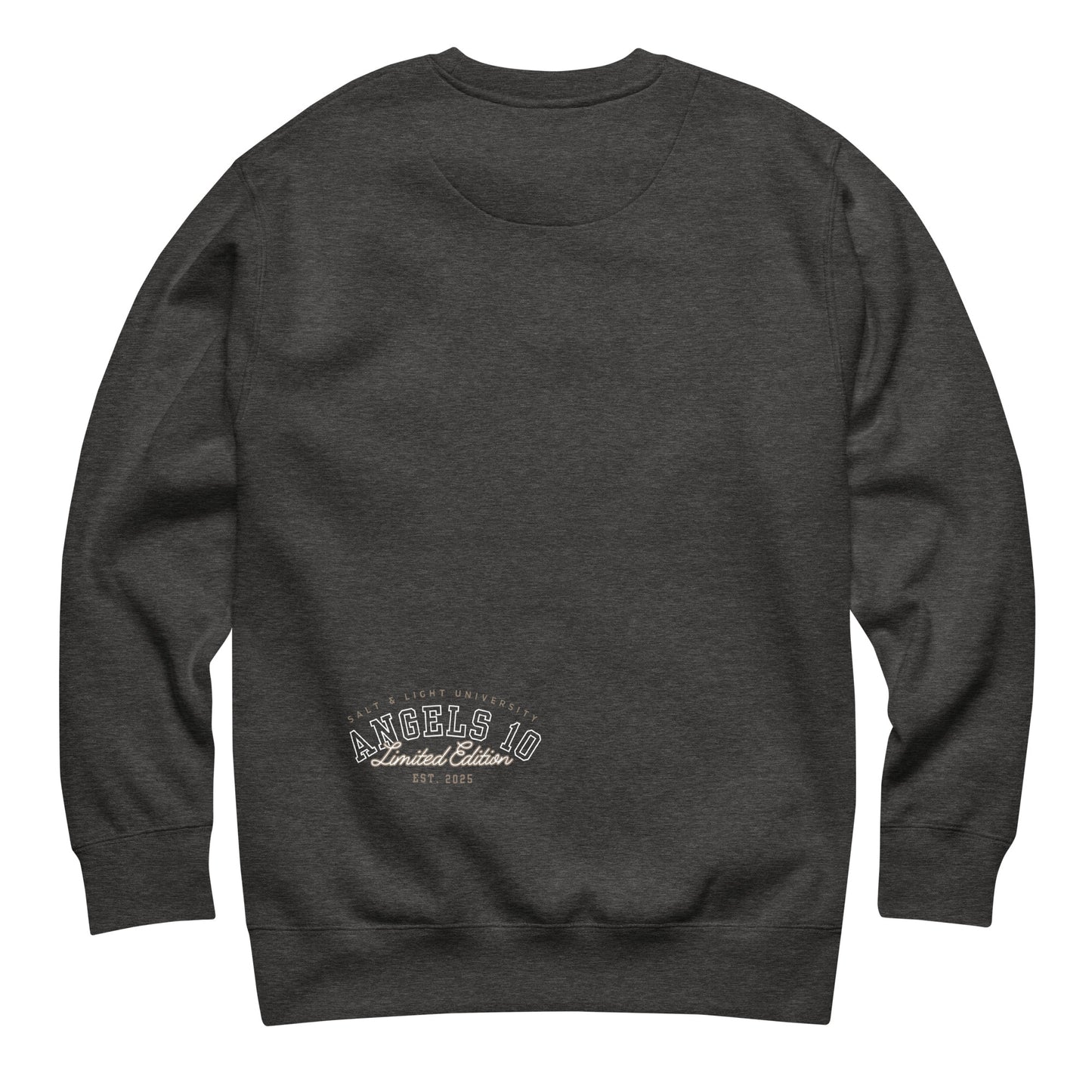 Back view of the charcoal Salt & Light Unisex Premium Sweatshirt for Christian Discipleship, highlighting the ANGELS 10 Limited Edition logo, a stylish choice for those living out their faith and discipleship while being the salt & light of the world in college.