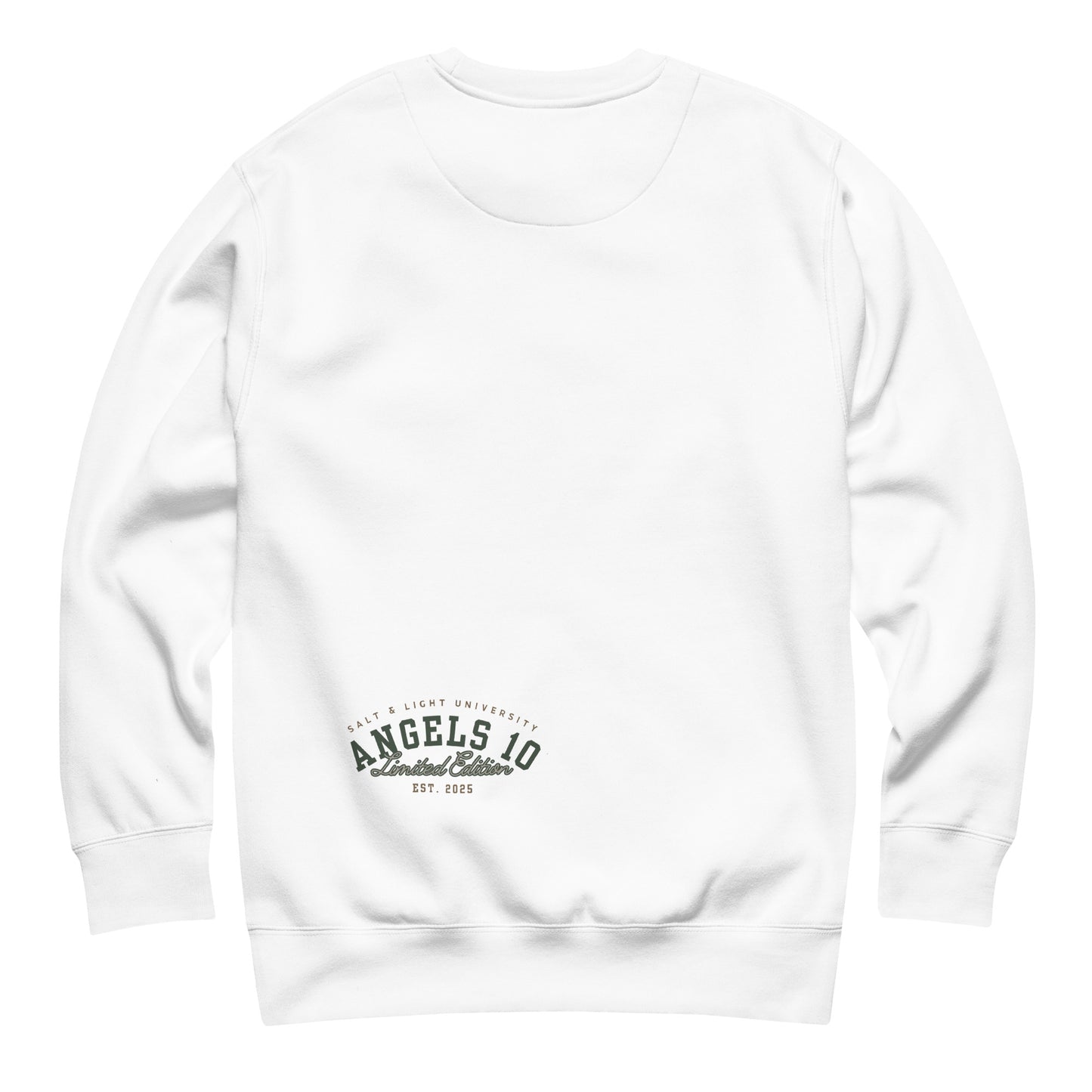 Back of the Salt & Light of the World Unisex Premium Sweatshirt, emphasizing its unique design. A great choice for college students who want to connect their faith and discipleship with their style.