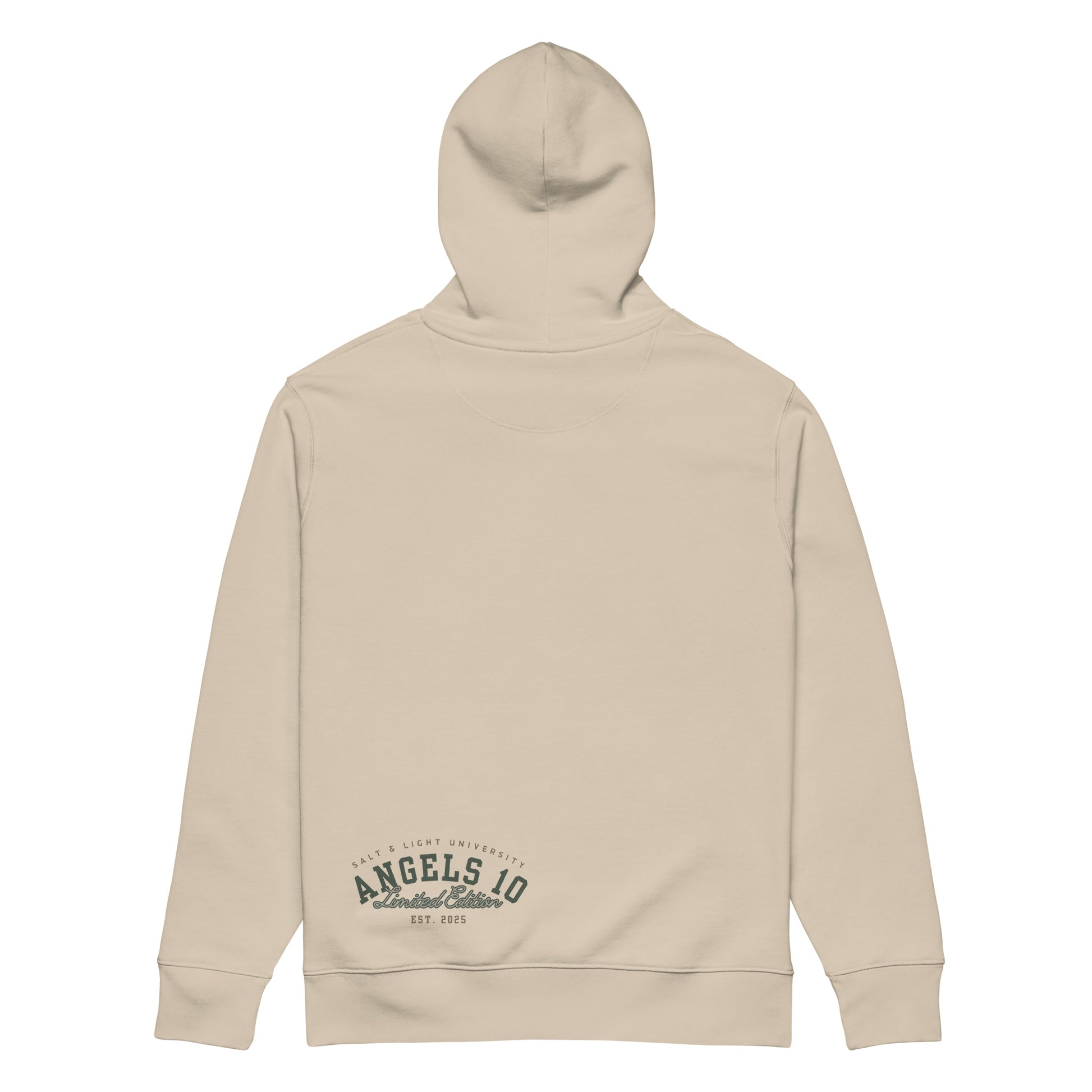 Back view of the Premium Organic Hoodie for Christian Discipleship in beige, promoting a message of faith and discipleship while capturing the essence of being the salt & light of the world, great for college students.