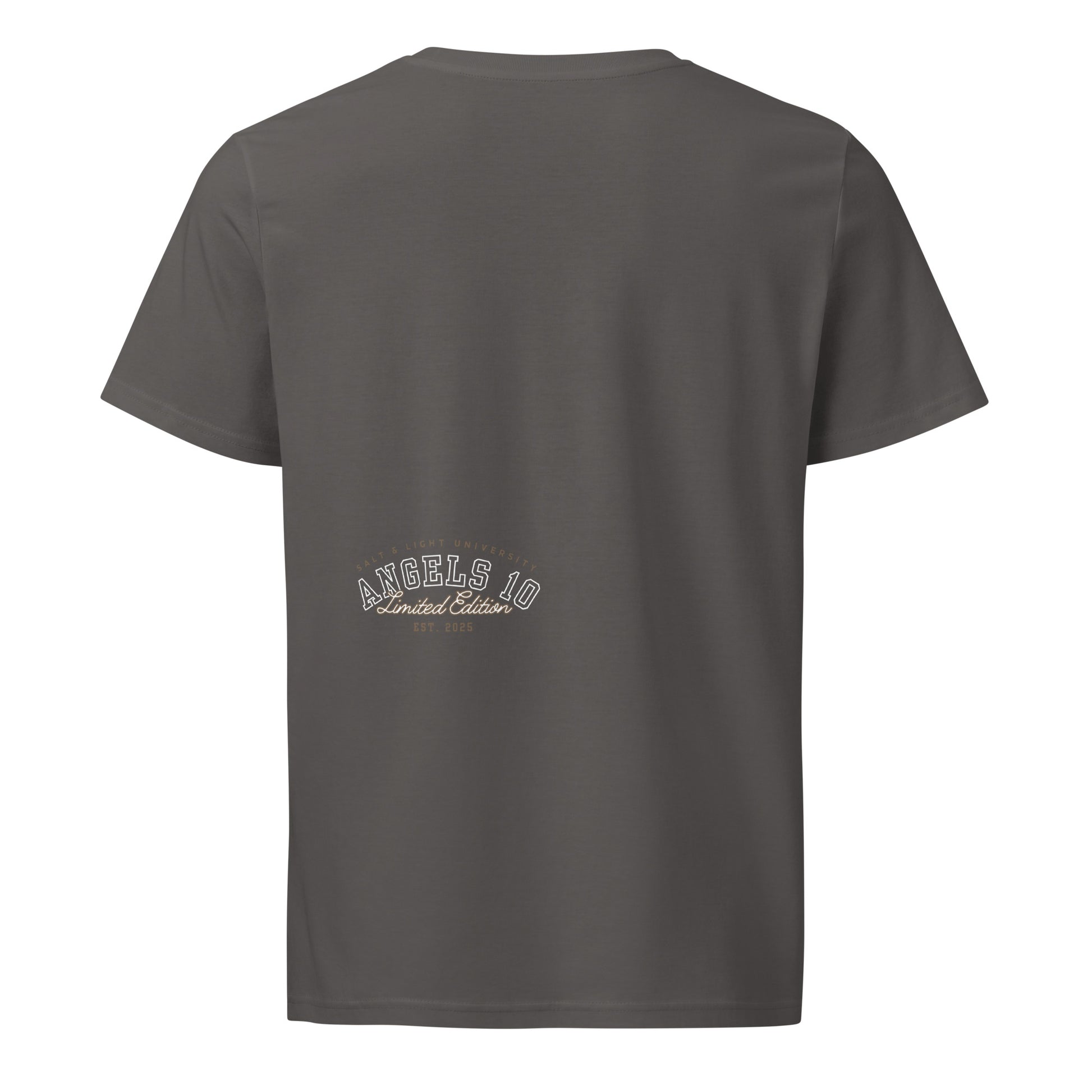 Back view of the Salt & Light Unisex Organic Cotton Mid-Light T-Shirt showcasing its limited edition branding, designed for believers to wear their faith proudly in a casual college setting, embodying the spirit of discipleship.