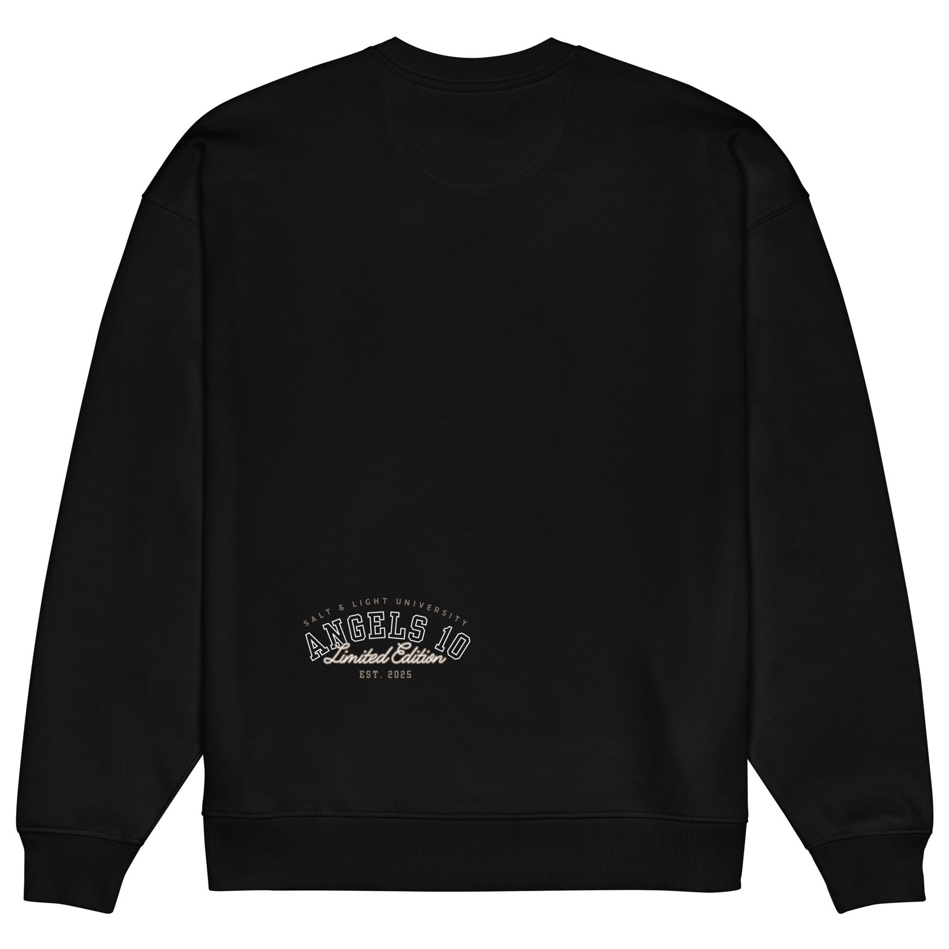 Back view of the Salt & Light Oversized Unisex Organic Sweatshirt showcasing its minimalist design, a great choice for students looking to share their faith and engage in discussions about discipleship. Christian, faith, discipleship, salt & light of the world, college.