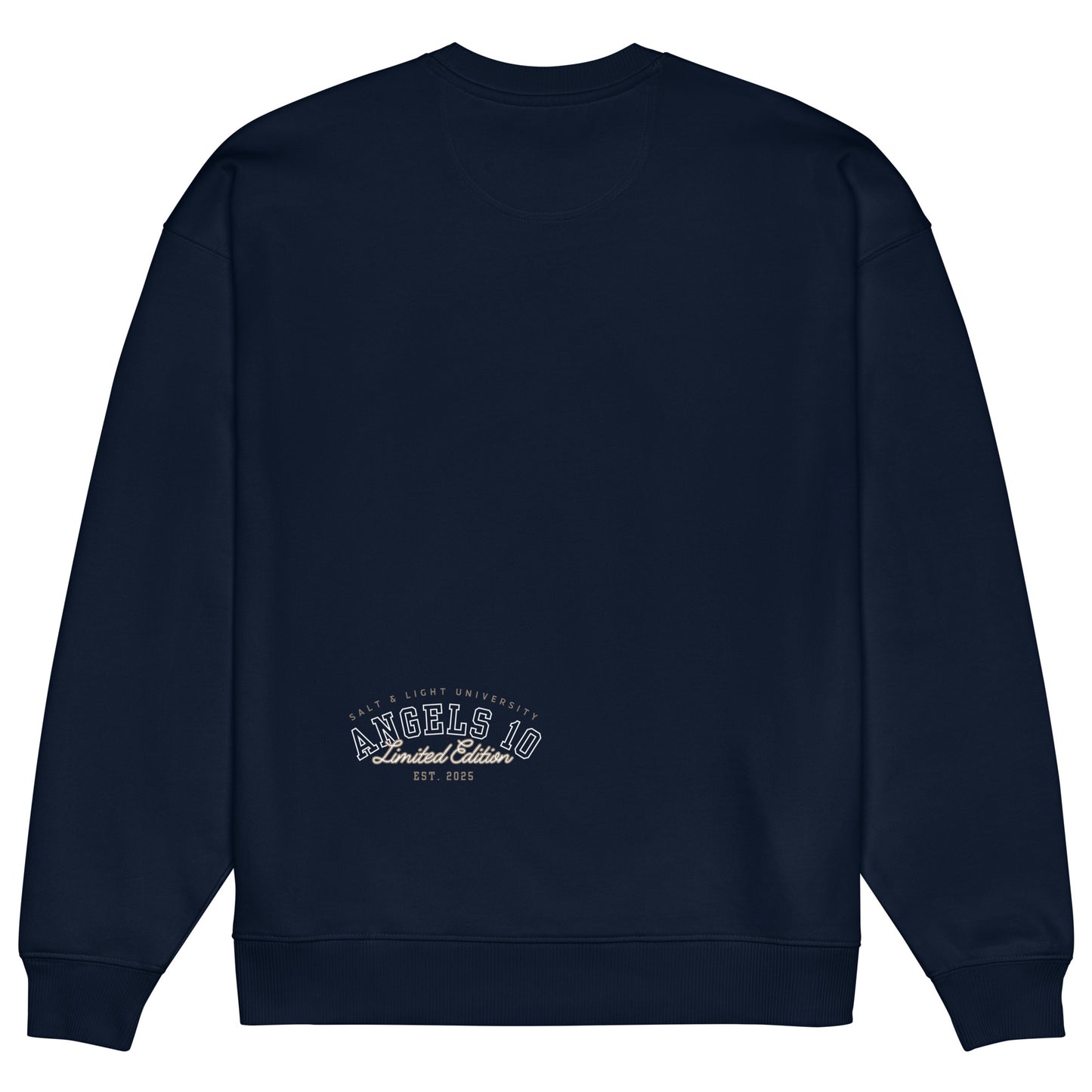 Back view of the navy Salt & Light Oversized Unisex Organic Sweatshirt, emphasizing a clean and faith-oriented design, ideal for college students passionate about discipleship and sharing their beliefs. Christian, faith, discipleship, salt & light of the world, college.