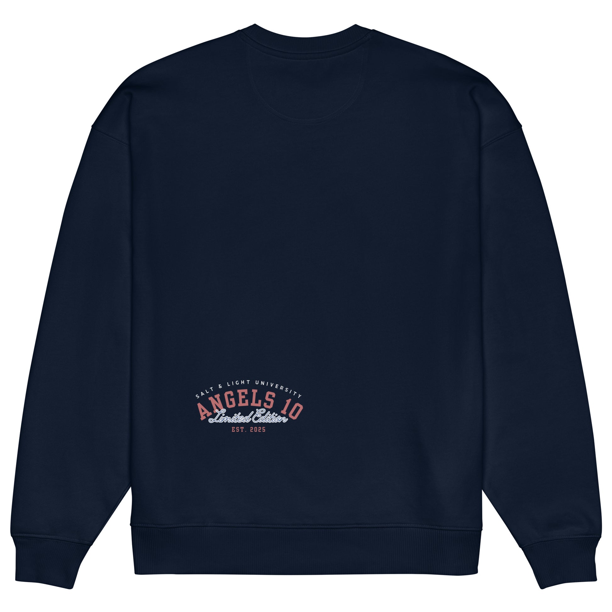 Back view of the Salt & Light Unisex Organic Oversized Sweatshirt featuring the 'Angels 10 Limited Edition' logo. This eco-friendly sweatshirt symbolizes faith and discipleship, making it a stylish choice for college students seeking to share the salt & light of the world.