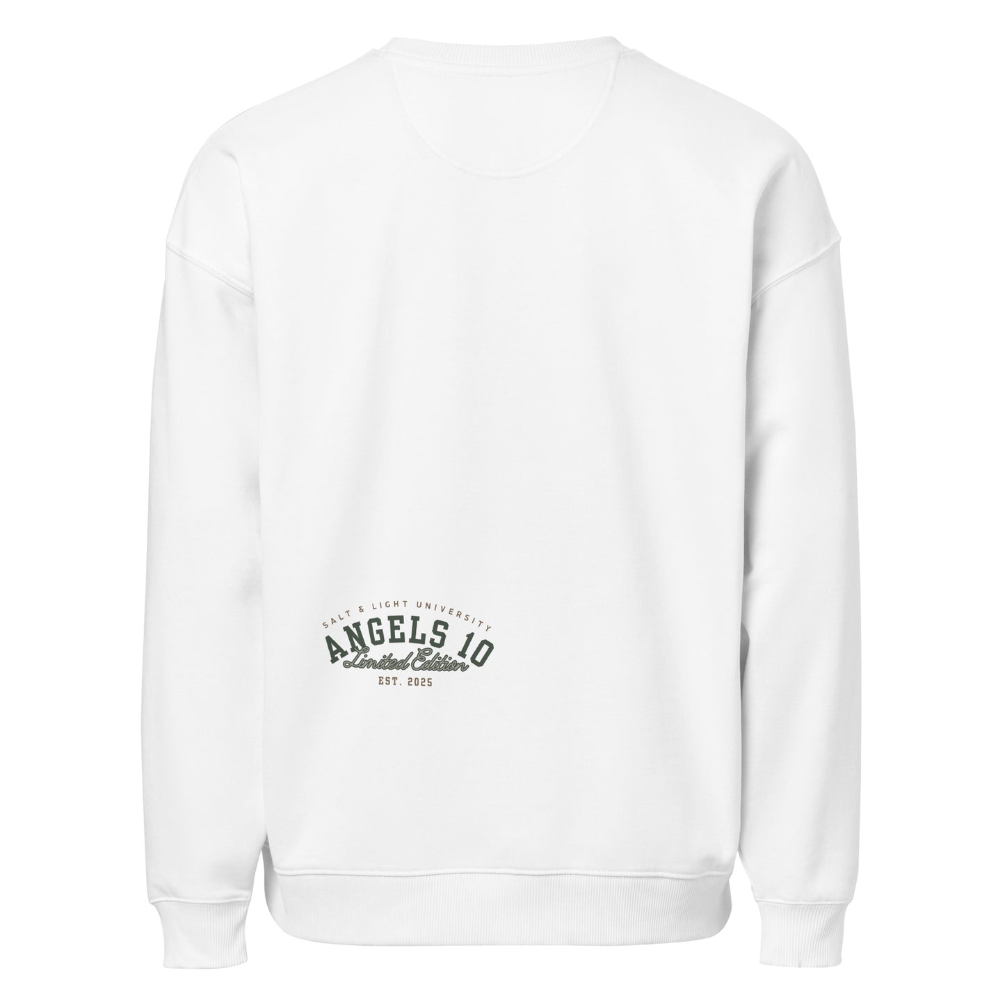 Back view of the Unisex Organic Oversized Sweatshirt featuring the Angels 10 emblem, a stylish piece for college students that represents Christian faith and discipleship, embodying the essence of being the salt & light of the world.