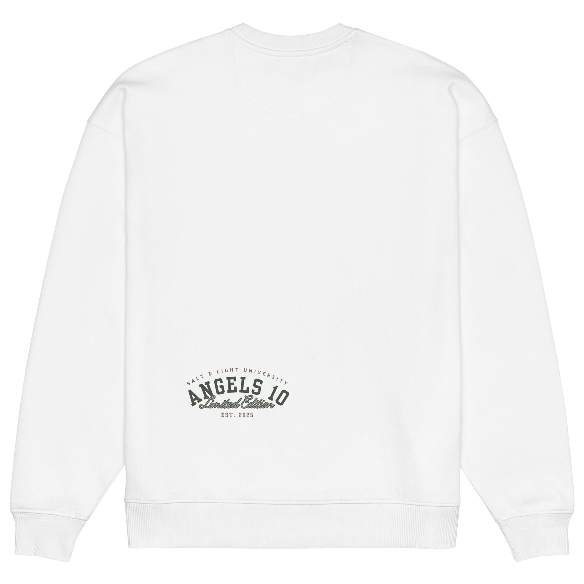Back view of the Unisex Organic Oversized Sweatshirt featuring the Angels 10 logo, designed for comfort and style, perfect for expressing your Christian faith and discipleship as the salt & light of the world, ideal for college students.