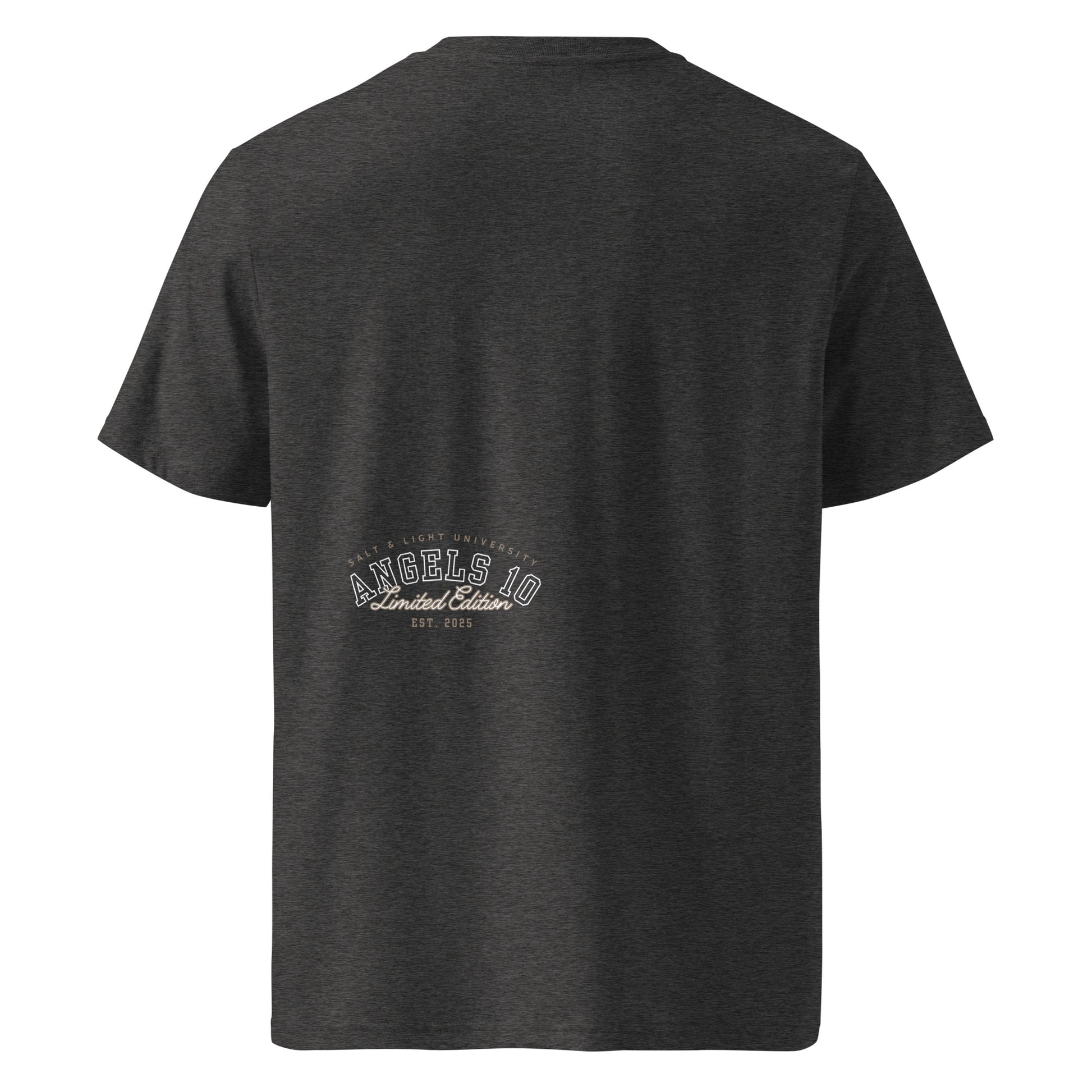 Back view of the Salt & Light Unisex Organic Ribbed Neck T-Shirt in dark gray, displaying the ANGELS 10 logo. This shirt is a great choice for those looking to share their faith through fashion, capturing the essence of discipleship as well as the salt & light of the world.