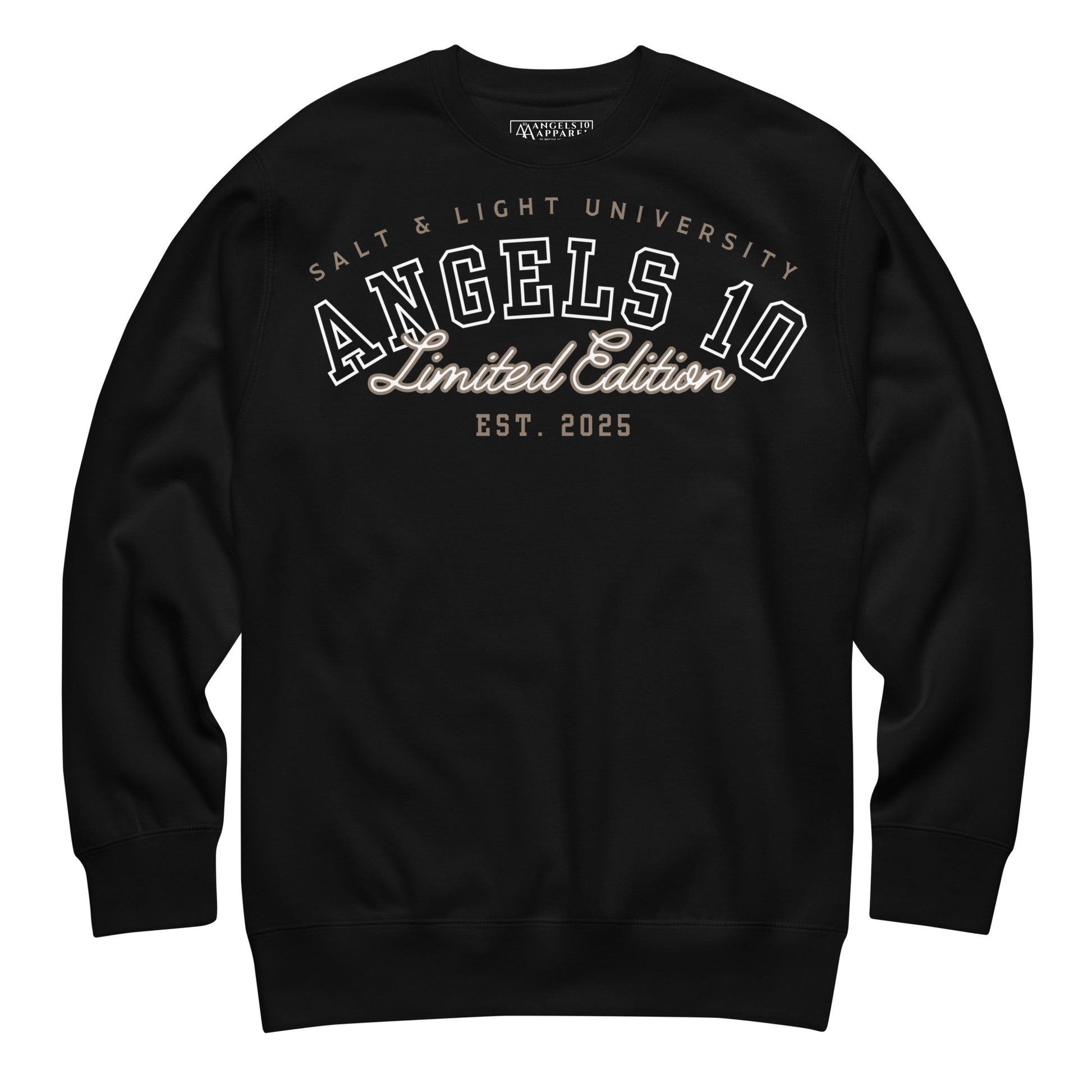 Front view of the Salt & Light Unisex Premium Sweatshirt for Christian Discipleship. This black sweatshirt highlights faith and discipleship for believers, making it an ideal choice for college wear and reflecting the essence of being the salt & light of the world.