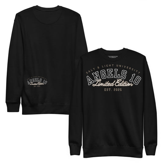 Salt & Light Unisex Premium Sweatshirt for Christian Discipleship featuring a stylish design, perfect for college students. This cozy sweatshirt embodies the message of faith and serves as a reminder of being the salt & light of the world.