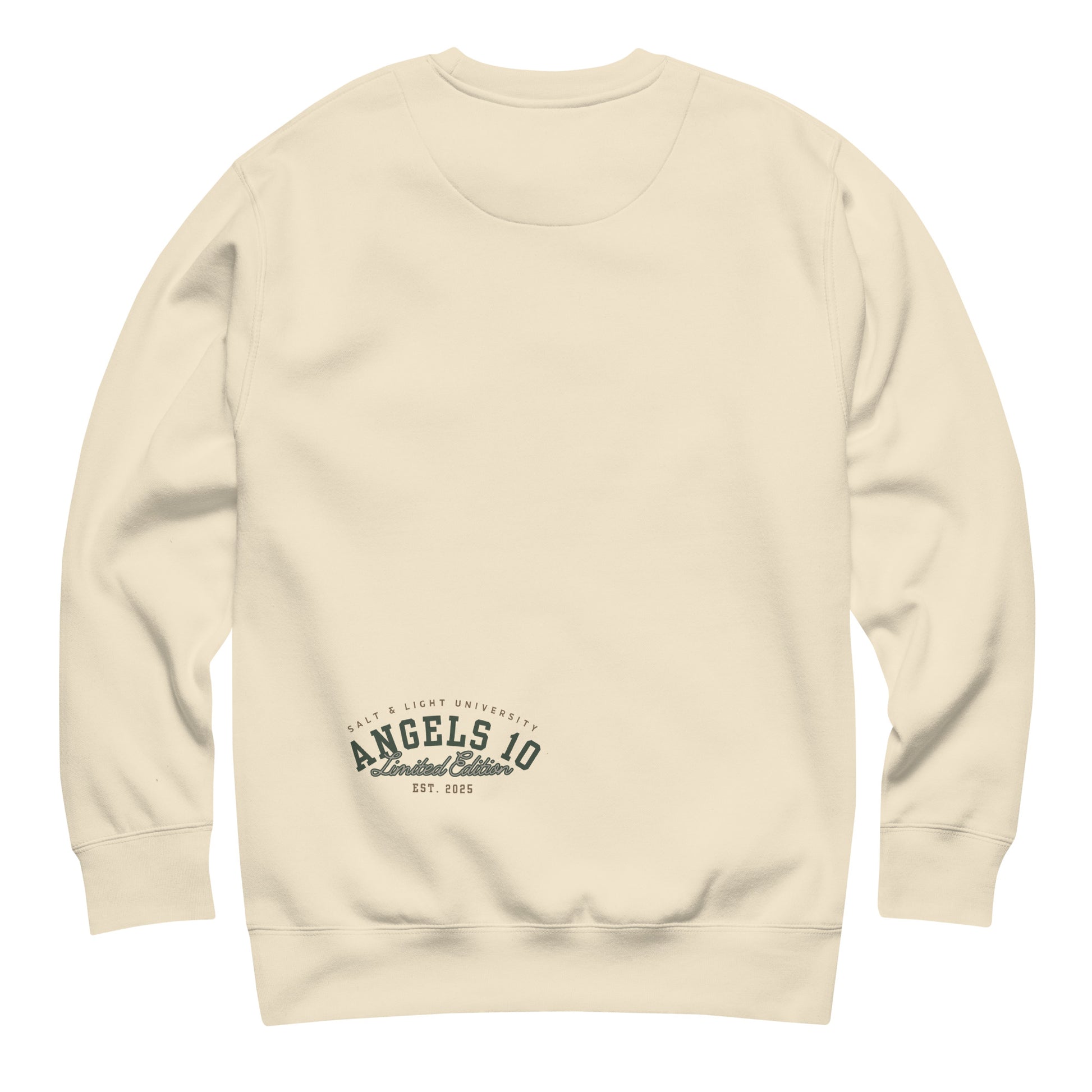Back design of the Salt & Light of the World Unisex Premium Sweatshirt, encouraging a commitment to Christian faith and discipleship.