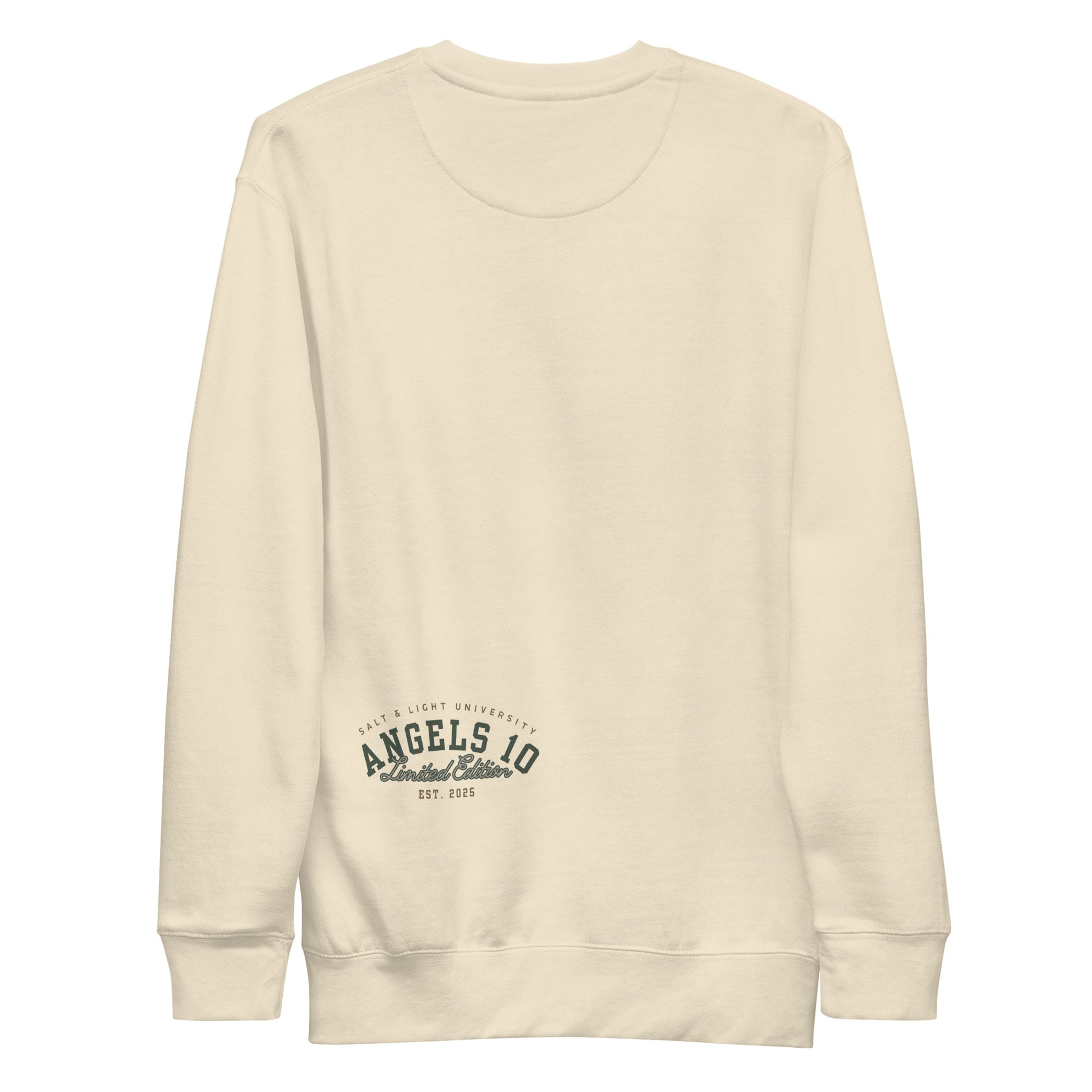 Back view of the Salt & Light of the World Unisex Premium Sweatshirt, designed for expressing Christian values and ideals of discipleship at college.