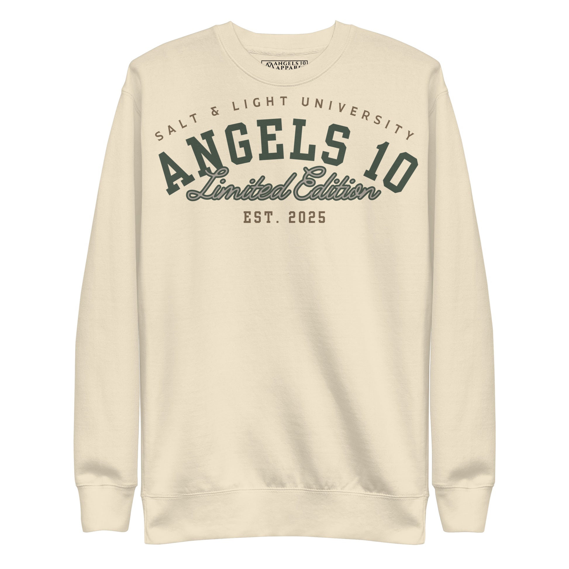 Salt & Light of the World Unisex Premium Sweatshirt featuring color graphics that highlight faith and discipleship, perfect for college students.