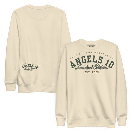 Salt & Light of the World Unisex Premium Sweatshirt featuring a stylish design from ANGELS 10 APPAREL LLC, perfect for expressing Christian faith and discipleship at college. Ideal for students looking for comfortable and fashionable clothing.