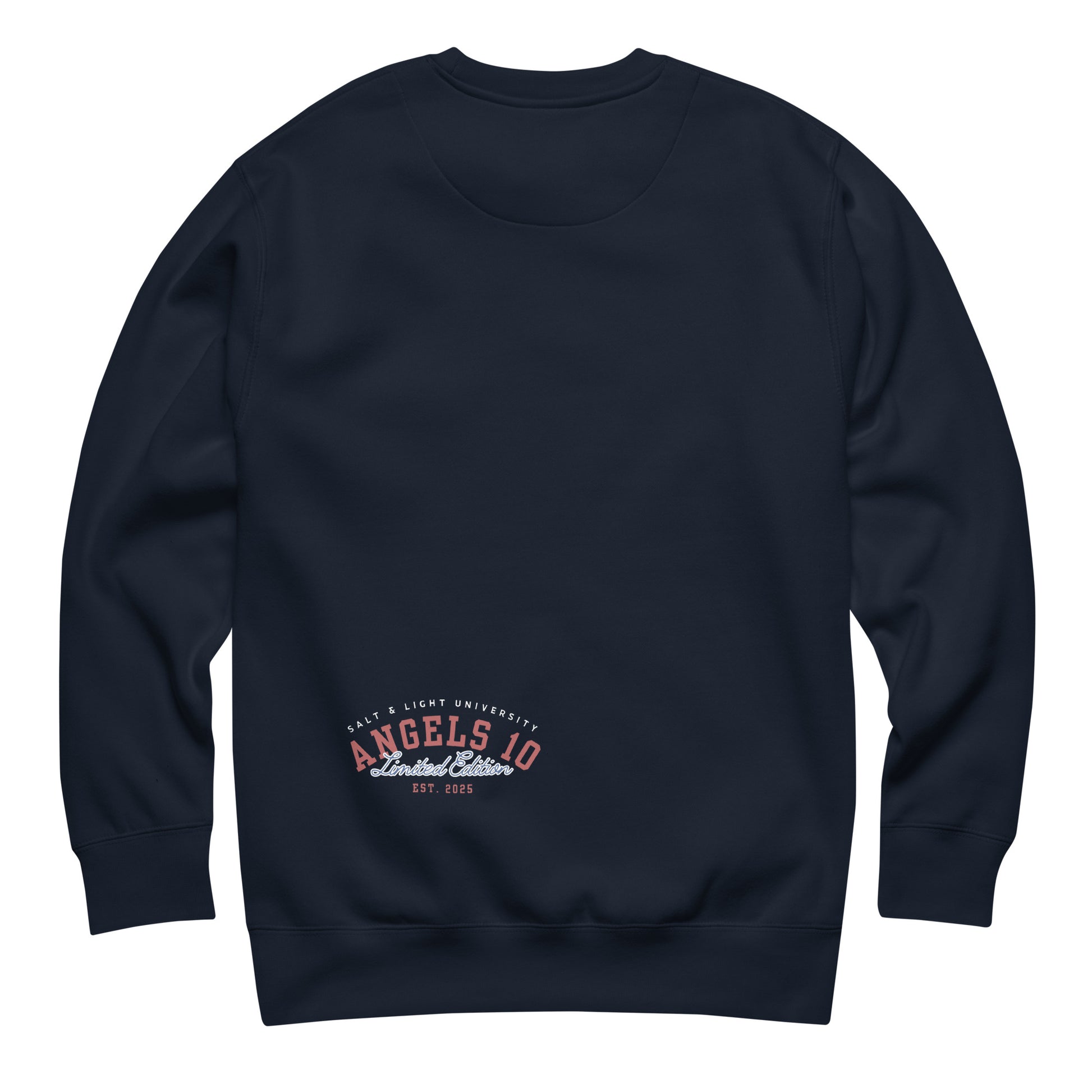 Back view of the Salt & Light Premium Unisex Sweatshirt illustrating a unique design, ideal for college believers emphasizing faith, discipleship, and the message of being the salt & light of the world.