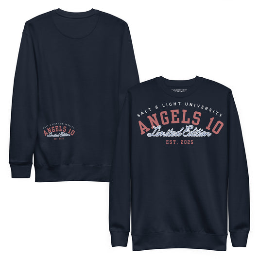 Salt & Light Premium Unisex Sweatshirt showcasing a classic style for discipleship and faith in college, featuring a front graphic that symbolizes the salt & light of the world, perfect for Christian believers.