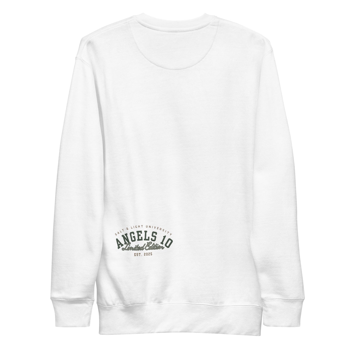 Back view of the Salt & Light of the World Unisex Premium Sweatshirt, perfect for showcasing your Christian faith and commitment to discipleship while on campus. Ideal for college students who embrace their beliefs.