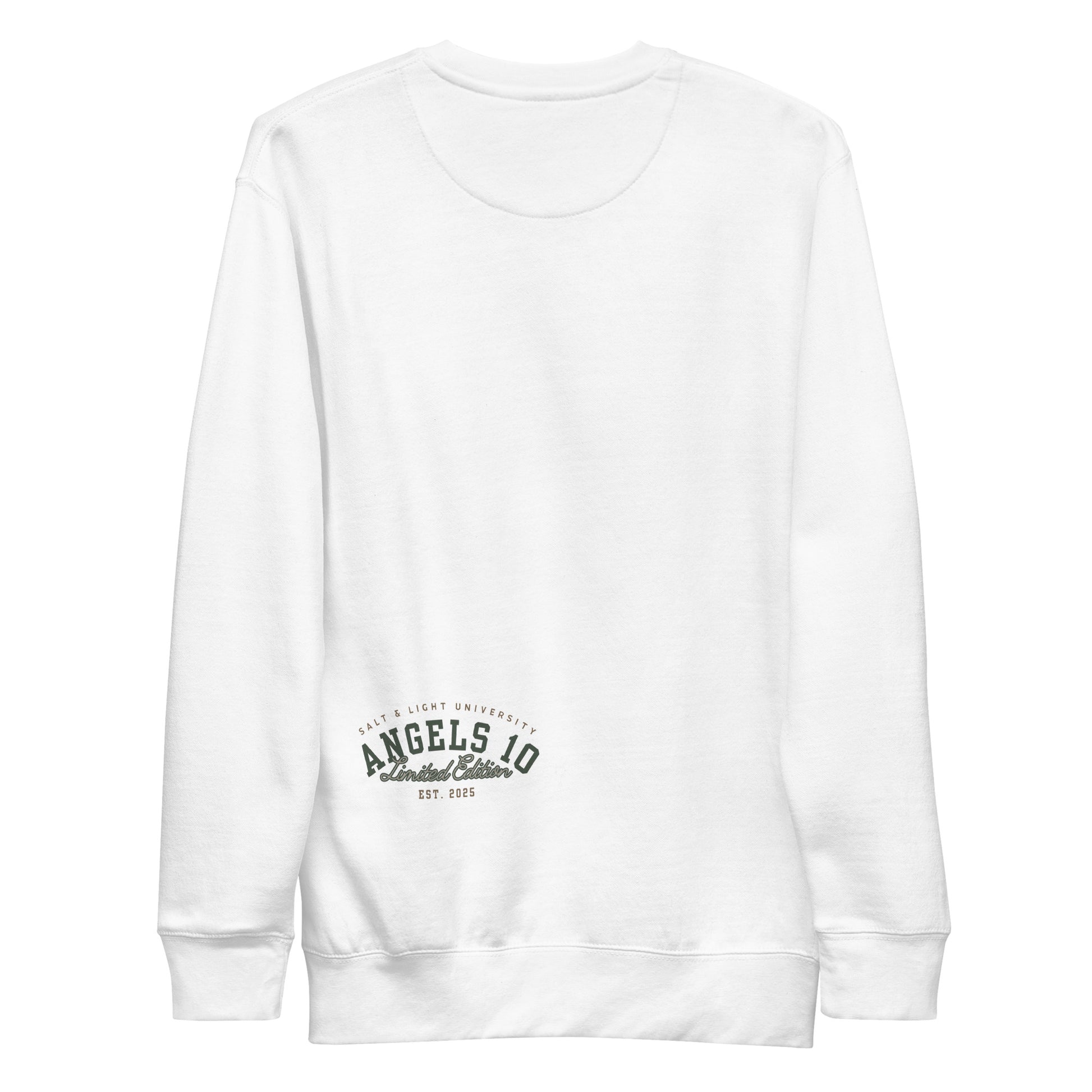 Back view of the Salt & Light of the World Unisex Premium Sweatshirt, perfect for showcasing your Christian faith and commitment to discipleship while on campus. Ideal for college students who embrace their beliefs.